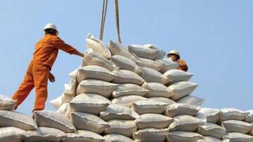 واردات ۵۸۰ هزار تن برنج