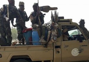 کشته شدن ۱۲ نفر در حمله تروریست‌های بوکوحرام در نیجریه