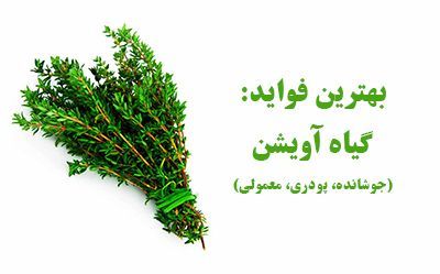 خواص جادویی آویشن برای ریه