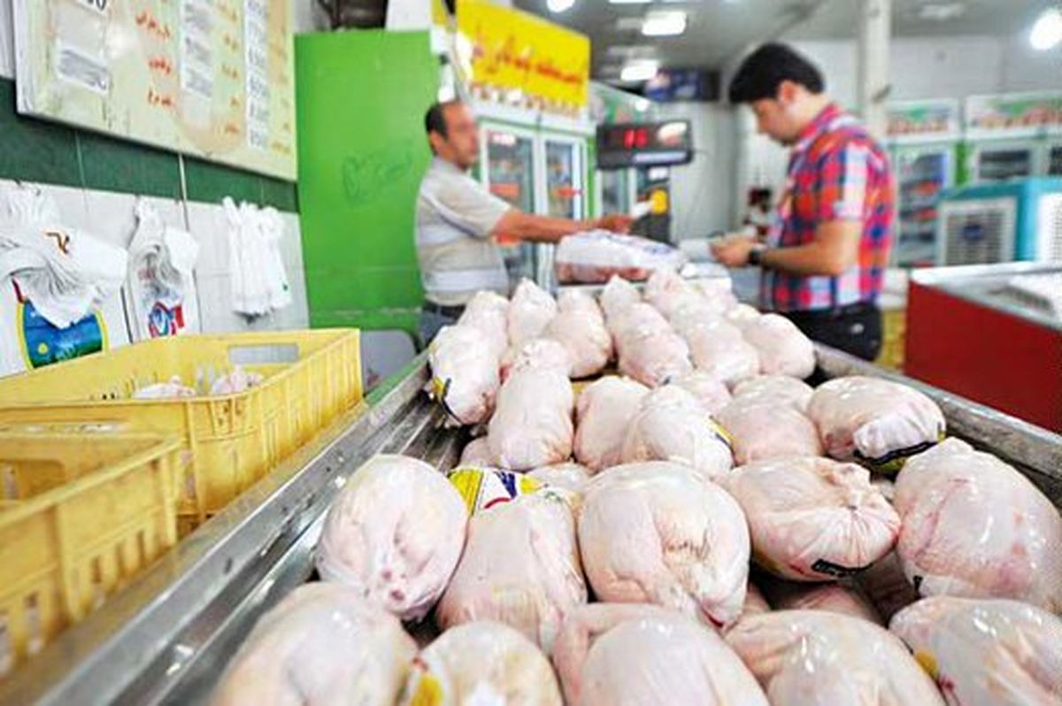 افزایش ۵۳ درصدی قیمت مرغ گوشتی در تابستان