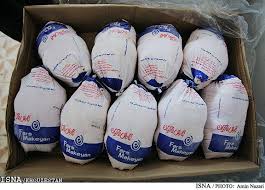 توزیع روزانه ۲ تُن مرغ منجمد در بوکان
