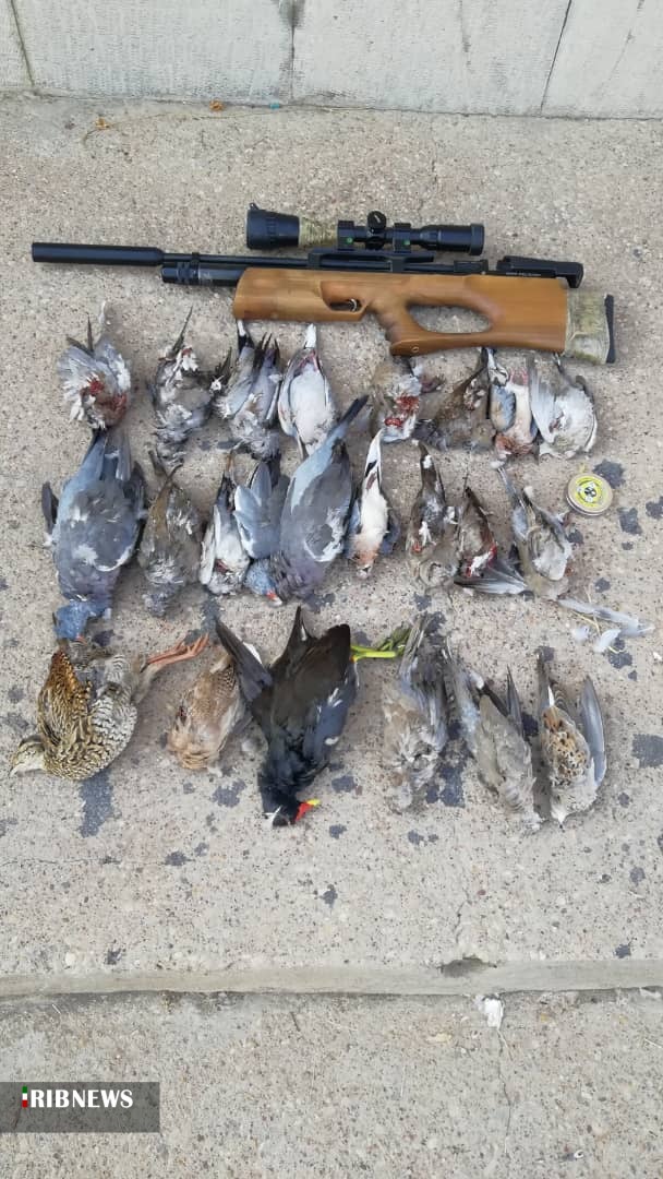 دستگیری دو گروه شکارچی غیرمجاز پرندگان در شوشتر