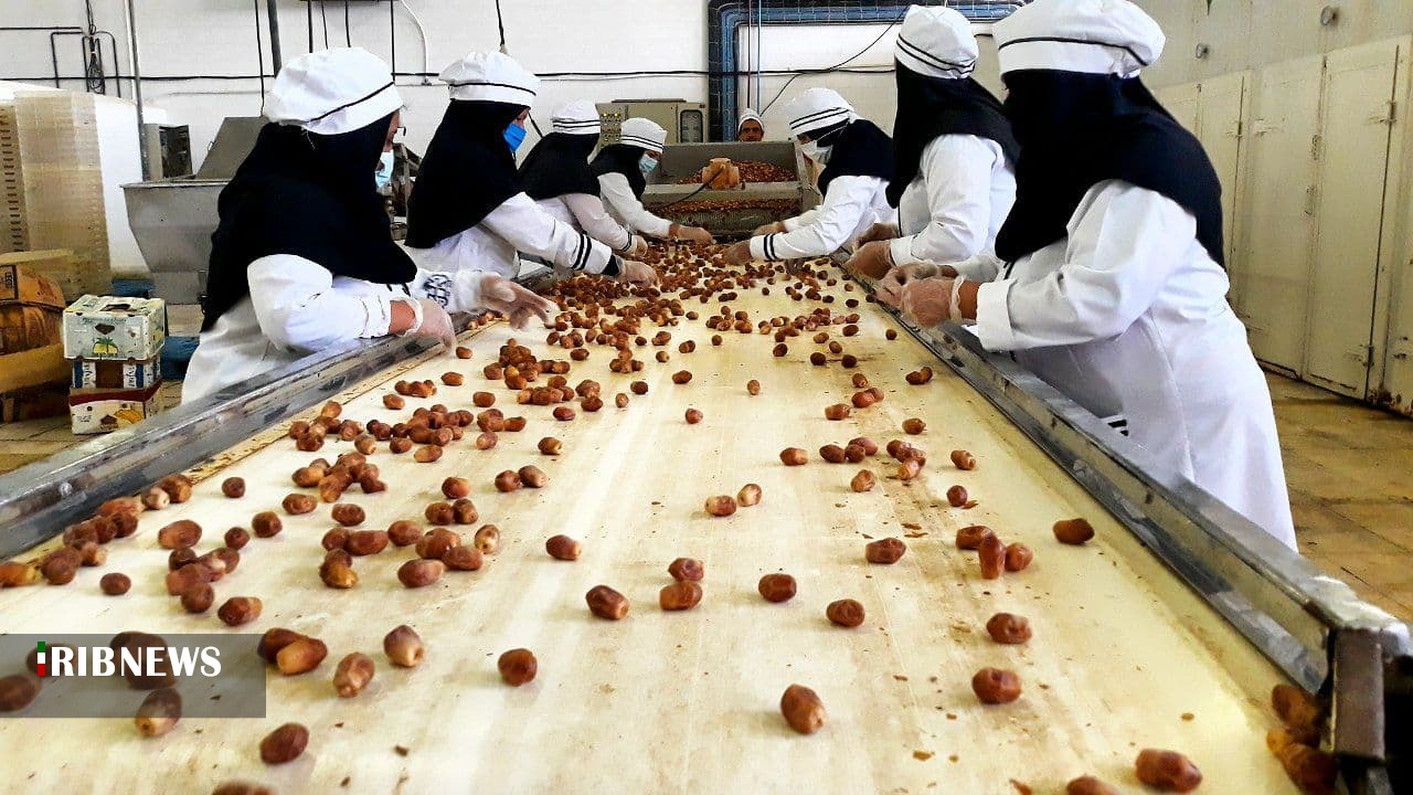 فعالیت ۷۸ واحد فرآوری و بسته‌بندی خرما در استان بوشهر