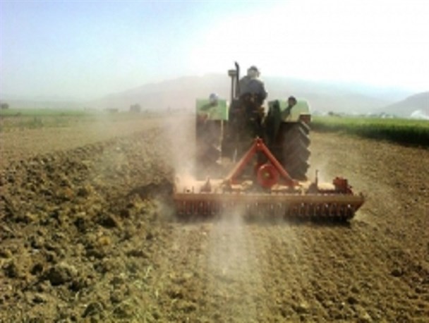 تحقق ۵۹ درصدی کشت گندم پاییزه در آذربایجان غربی
