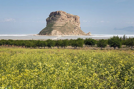 کشت محصولات کم‌آب‌بردر حاشیه دریاچه ارومیه