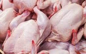 روند کاهشی قیمت گوشت مرغ