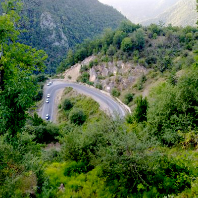 باران به داد جنگل توسکستان رسید