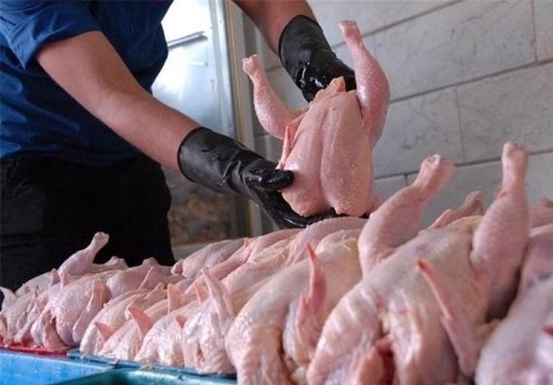 کاهش قیمت مرغ کشتار روز در بازار