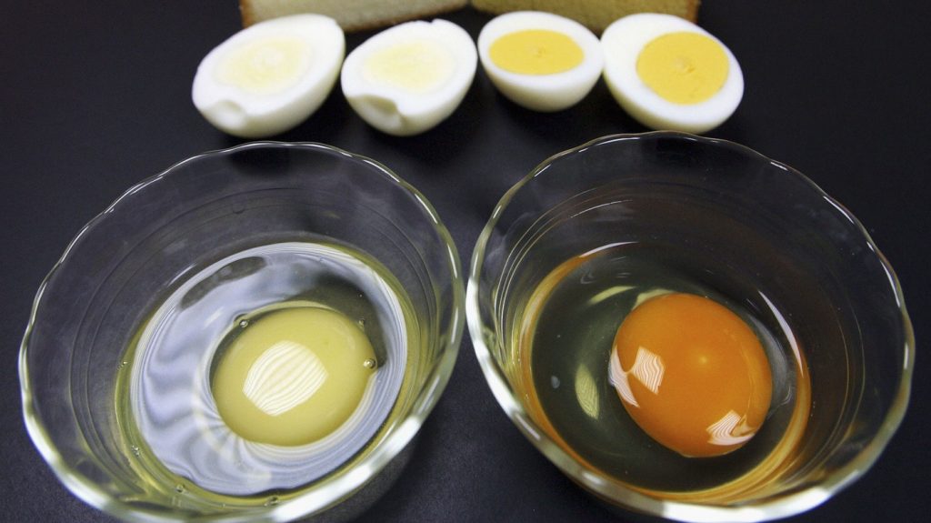 ۶ نوع تخم مرغ مضر