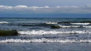 مواج بودن دریا در ساعات بعدازظهر با وزش باد جنوب غربی