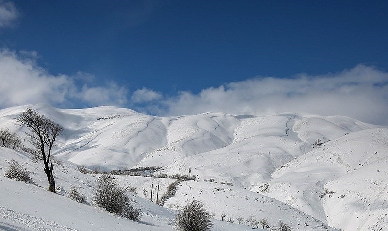چادر برفی بر سر ارتفاعات آذربایجان‌ شرقی