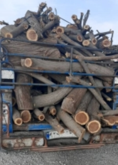 کشف محموله یک و نیم تنی چوب غیرمجاز در بندرعباس