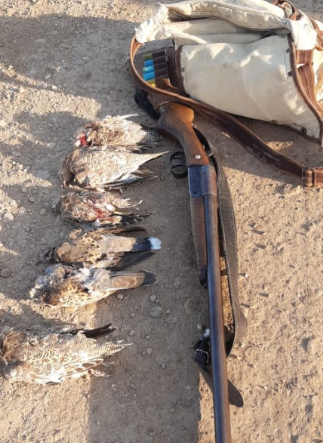 دستگیری متخلف شکار و صید در شهرستان بیرجند