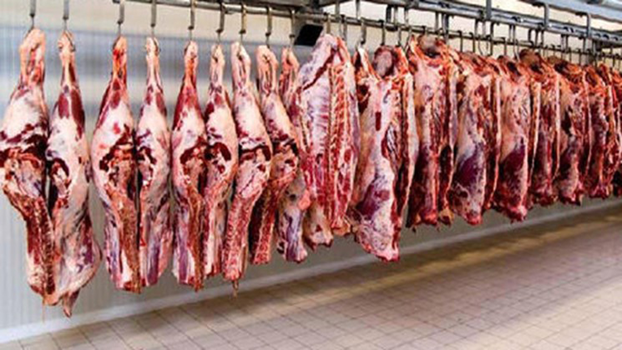 استحصال ۵۹ هزار تُن گوشت قرمز و سفید در آذربایجان غربی