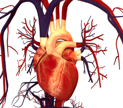 خطر برای بیماران قلب و عروق