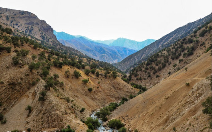 خوشبخت ‌ترین مردم ایران کجا زندگی می‌کنند؟