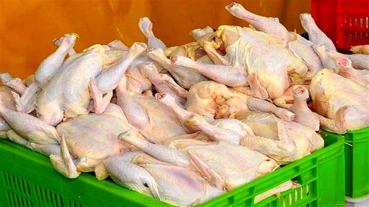 اعلام نرخ مصوب مرغ در قزوین
