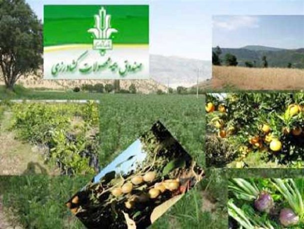 بیمه کمتر از ۴۰ درصد محصولات کشاورزی در استان اصفهان