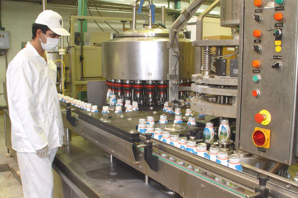 تولید ۲۲ هزارتن شیرخام در میاندورود