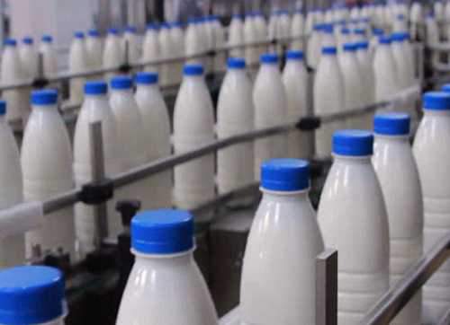 افزایش پلکانی قیمت شیر در استان