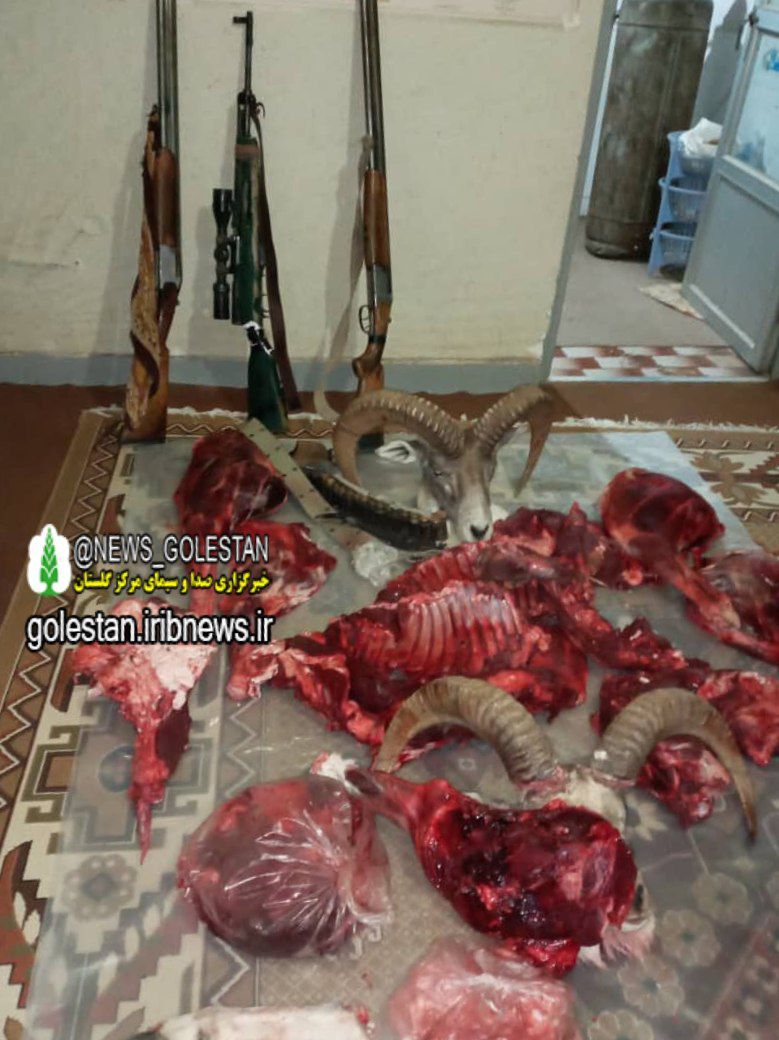 دستگیری 4 شکارچی غیر مجاز در جنگل گلستان