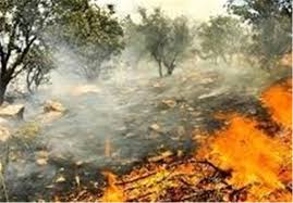 مهار آتش سوزی در زمین‌های جنگلی شهرستان میناب
