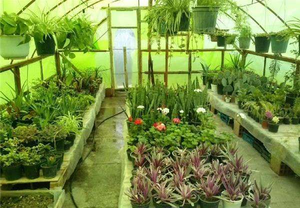 تایید ساخت ۶ گلخانه مقیاس کوچک در بابل
