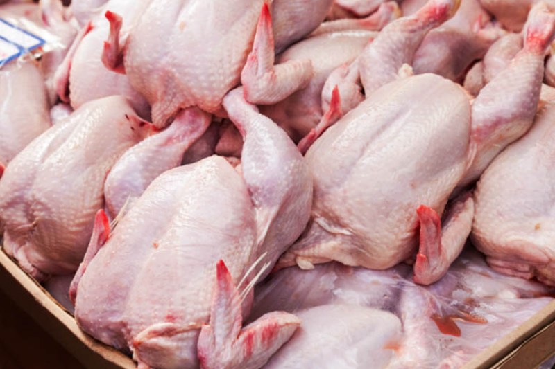 تولید ۱۳۰ هزارتن گوشت مرغ در مازندران