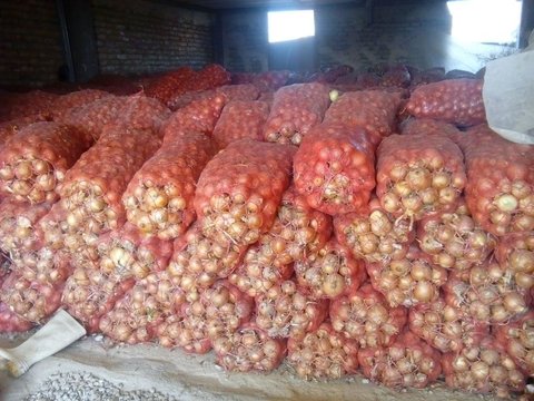 کشف ۱۹ تن پیاز و سیب زمینی احتکاری در گیلانغرب