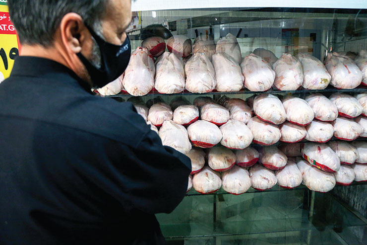 آغاز کاهش قیمت مرغ در خراسان جنوبی