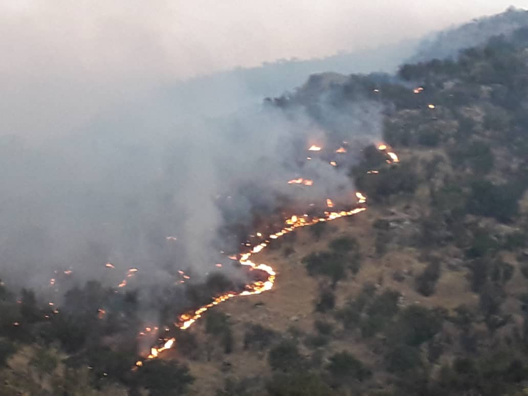 آتش در ارتفاعات آباده طشک