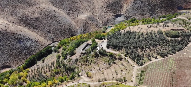 توسعه باغات در کردستان لنگ تسهیلات