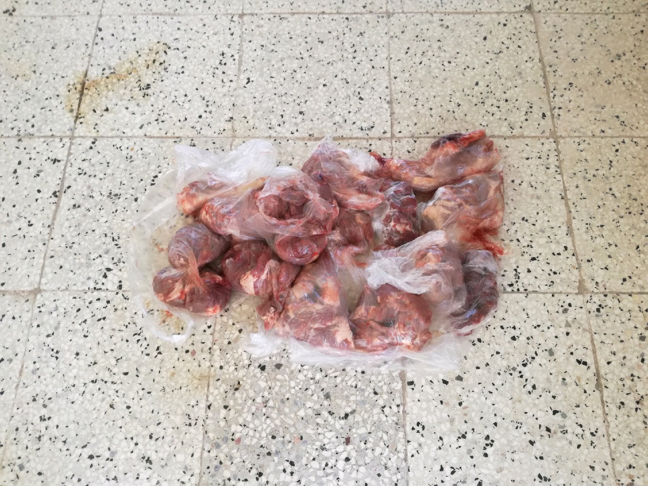 کشف گوشت قوچ وحشی از یک منزل مسکونی در زاوه