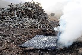 تخریب یک کوره ذغال غیز مجاز در شهرستان بندرلنگه