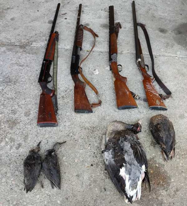 کشف و ضبط ۱۹ سلاح شکاری در مازندران