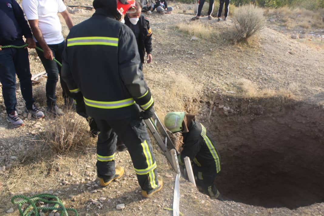 تلاش آتش نشانان برای نجات ۲ قلاده شغال و یک راس اسب از اعماق چاه