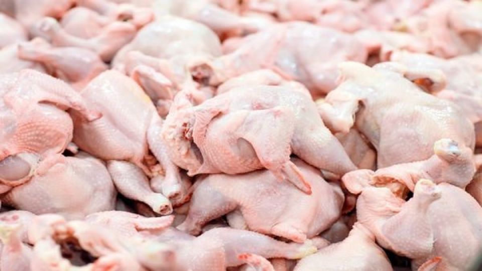 افزایش قیمت مرغ به دلیل کاهش میزان کشتار روزانه