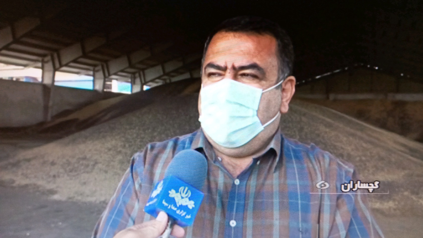 خرید تضمینی محصول کلزا ی استان توسط کارخانه روغن گچساران