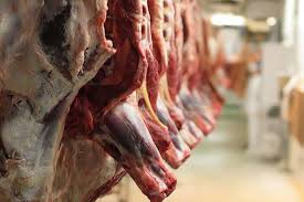 معدوم سازی ۷۰۰ کیلوگرم گوشت قرمز در نیشابور