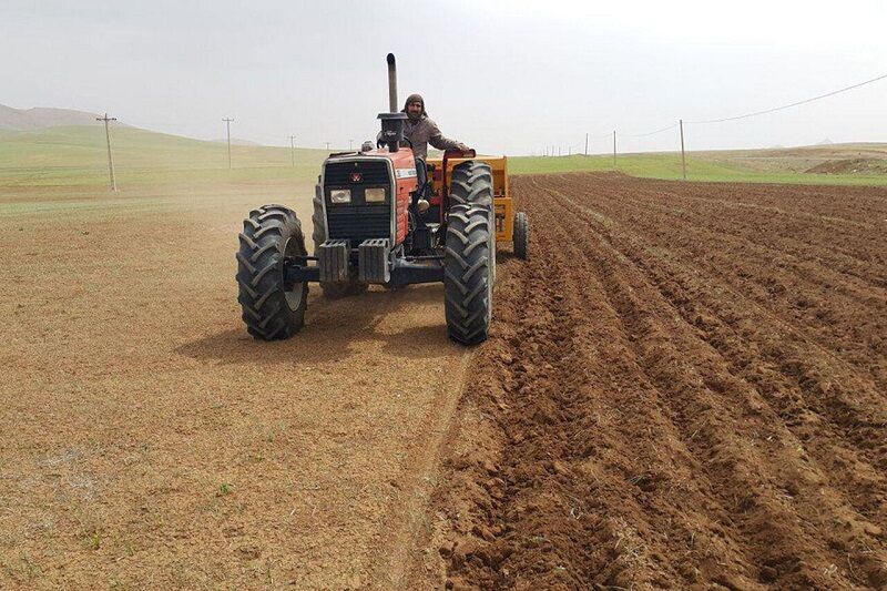 توزیع هزار ۴۰۰ تن بذر گواهی شده در شهرستان کهگیلویه