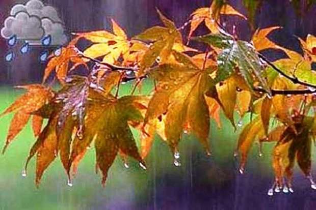 طراوت سیمای ایلام در سایه بارش‌های فراگیر پاییزی