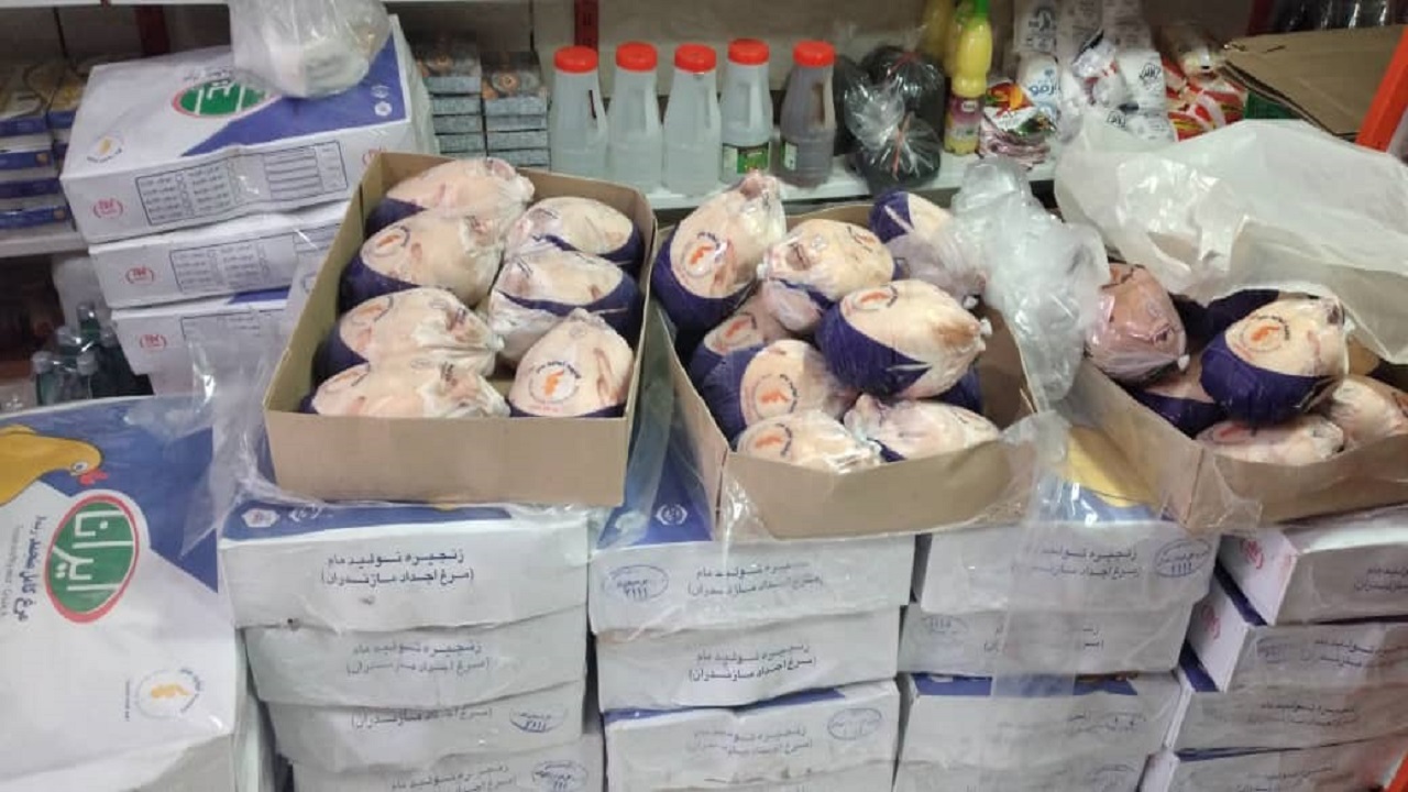 توزیع ۱۶ تن مرغ منجمد در شهرستان البرز