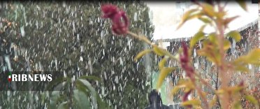 هم اکنون سنندج، بارش باران و برف+فیلم