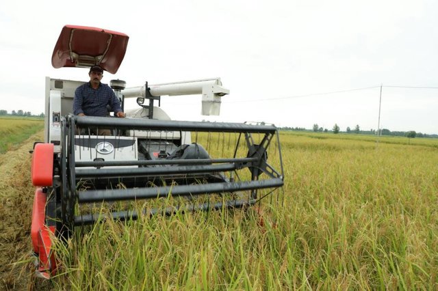 توسعه کشاورزی ماشینی در فومن