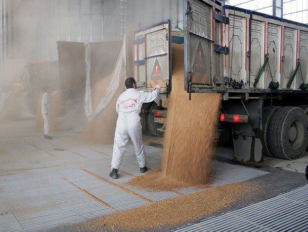 ذخیره سازی ۳۲ هزار و ۵۰۰ تُن گندم در چهارمحال و بختیاری