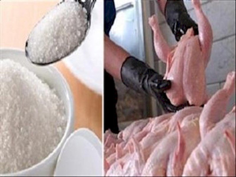 توزیع بیش از ۴ تن مرغ و شکر دولتی در ایوانکی