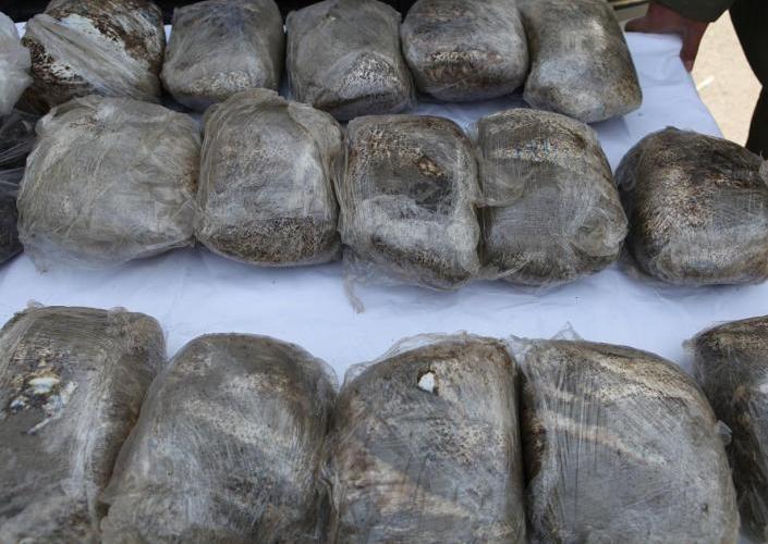 کشف ۲۵۴ کیلو مواد مخدردر عملیات پلیس تهران و یزد