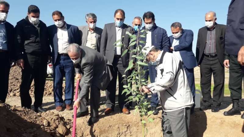 آغاز نهضت نهالکاری با کاشت یک میلیون اصله نهال در دهلران