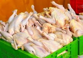 توزیع ۸۰۰ تن گوشت گرم مرغ در هفته جاری +فیلم