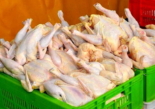 جلوگیری از عرضه مرغ خارج از شبکه به استانهای همجوار